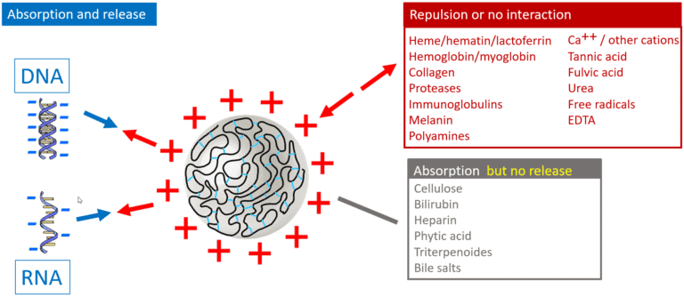 PCR inhibitors, DNA absorption and release